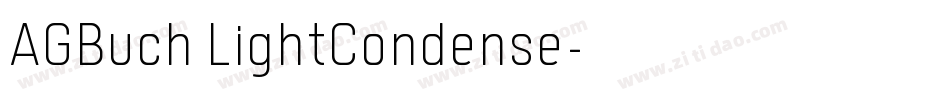 AGBuch LightCondense字体转换